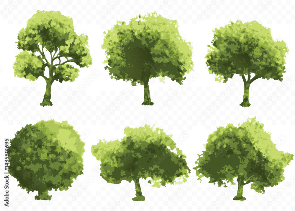Fototapeta premium Six Watercolor Style Green Trees Isolated on White