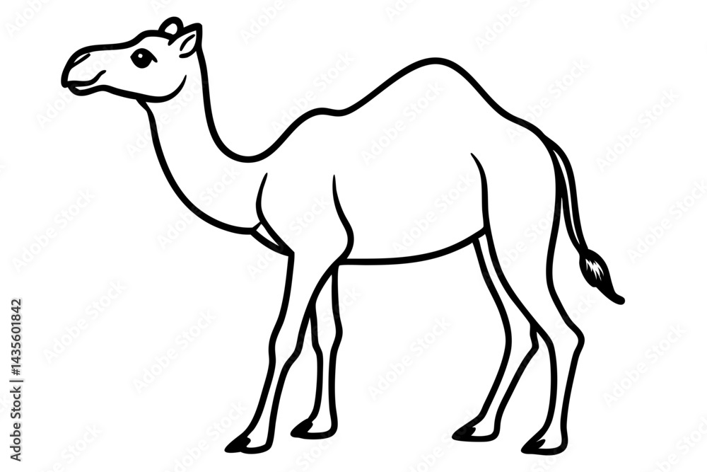 Fototapeta premium Camel vector illustration line art and white background