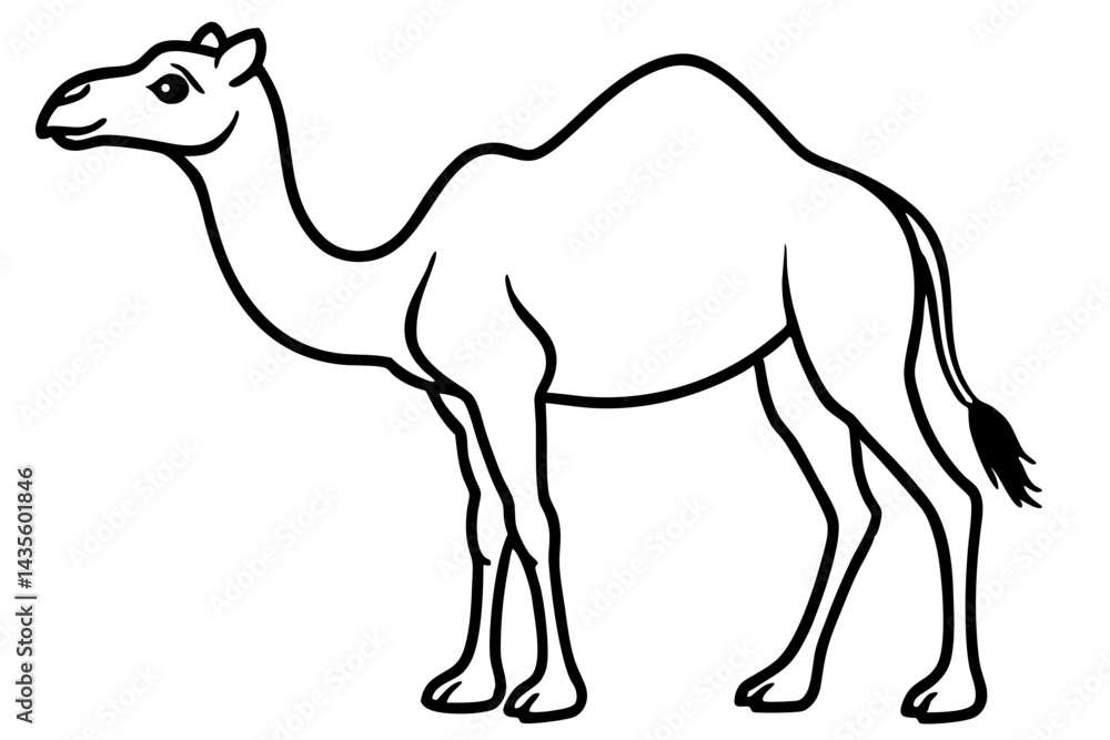 Fototapeta premium Camel vector illustration line art and white background