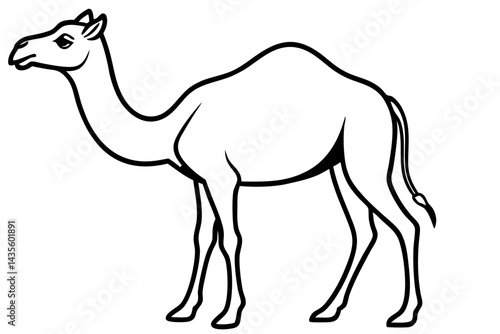 Camel vector illustration line art and white background