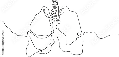 Minimalist One Line Drawing of Human Lungs Anatomy