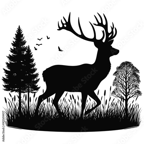 deer in the forest