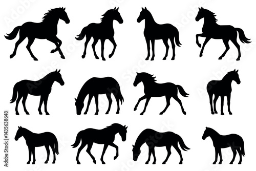 Horse Silhouette Collection Black Horse Poses Running Walking Grazing Standing Art