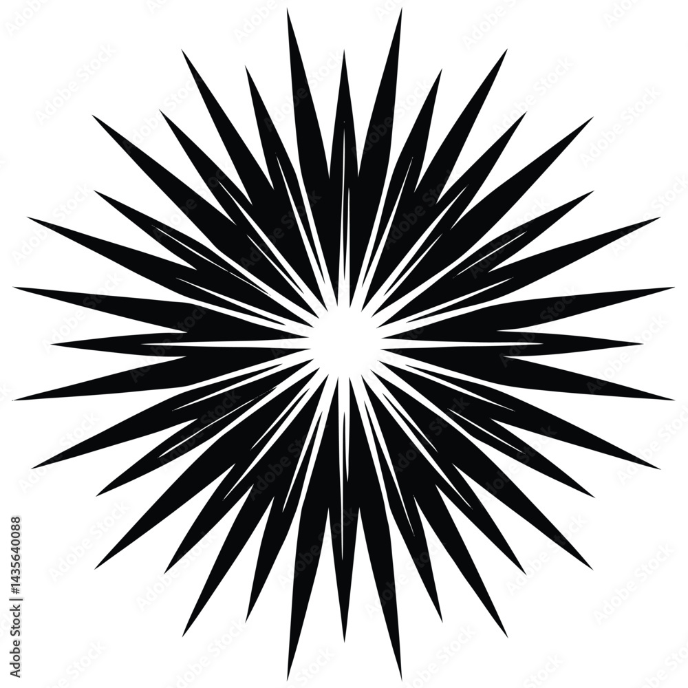 Obraz premium Abstract Black and White Starburst Design Element