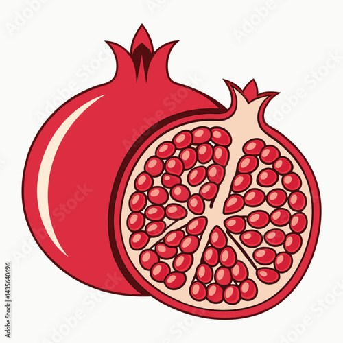 Pomegranate fruit illustration (1)