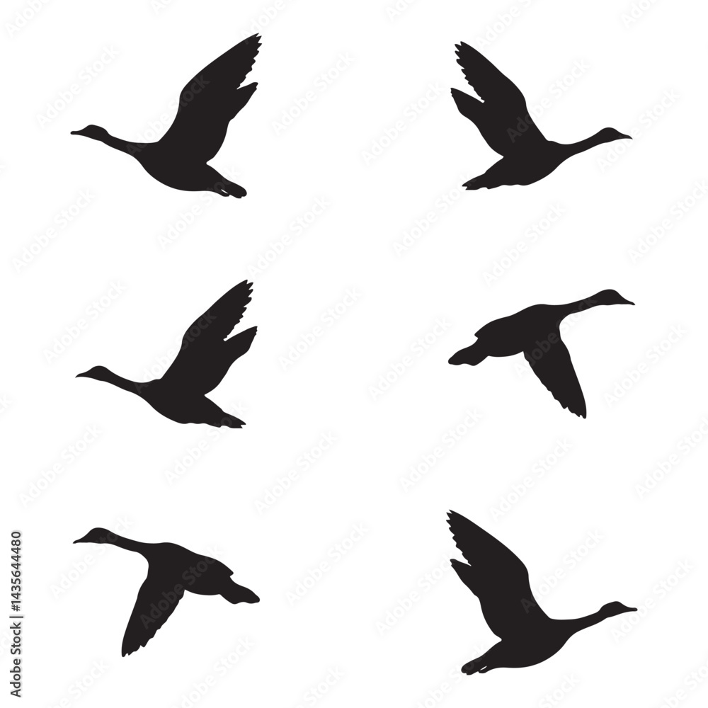 Obraz premium Elegant Bird Vector Collection – Minimalist and Colorful Flying Birds Illustration for Nature Projects .