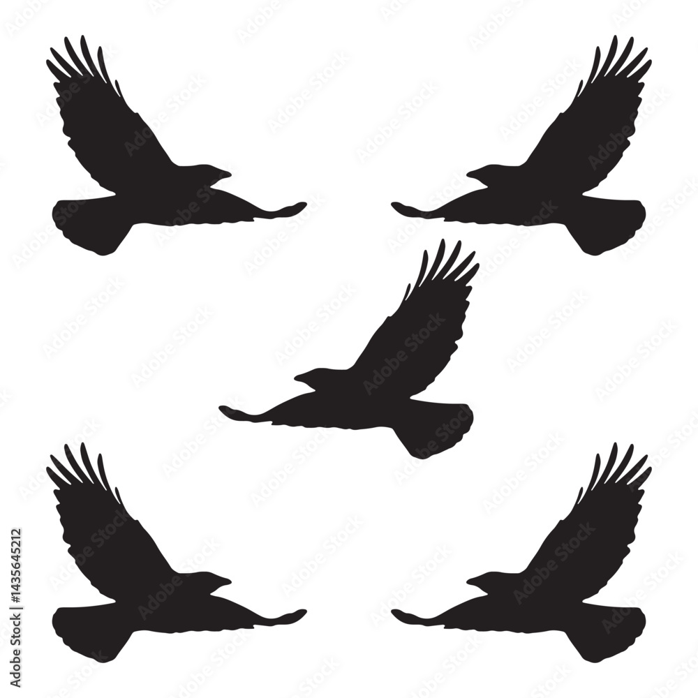 Obraz premium Elegant Bird Vector Collection – Minimalist and Colorful Flying Birds Illustration for Nature Projects .