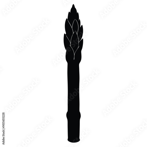  Black silhouette of an asparagus stalk on a white background