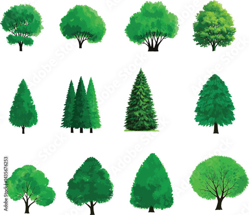 sat of the tree forest victor design with white background.