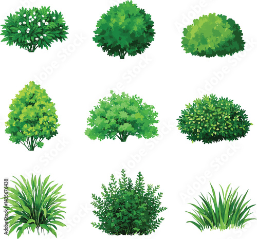 sat of the tree forest victor design with white background.