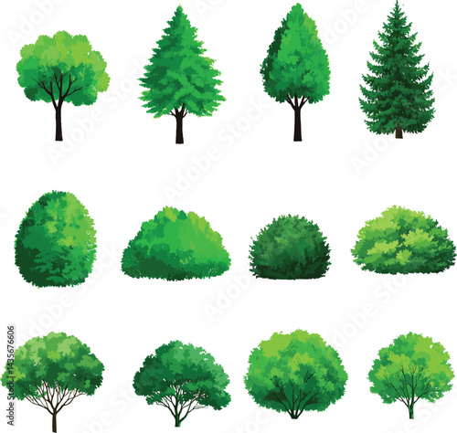sat of the tree forest victor design with white background.