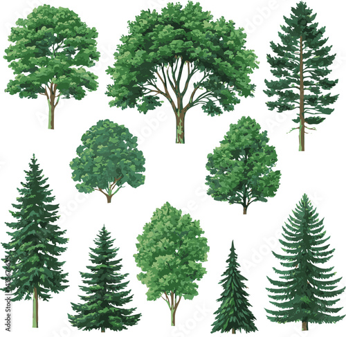 sat of the tree forest victor design with white background.
