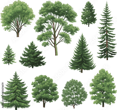 sat of the tree forest victor design with white background.