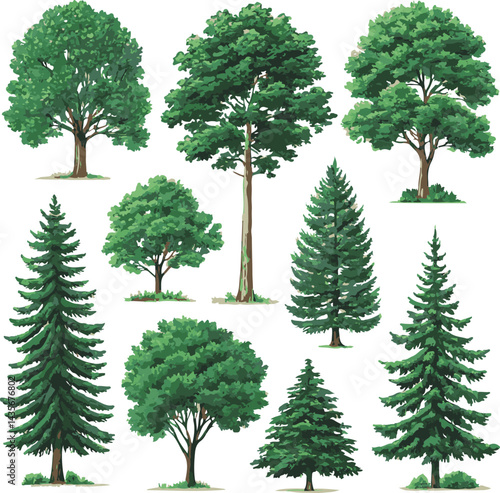 sat of the tree forest victor design with white background.