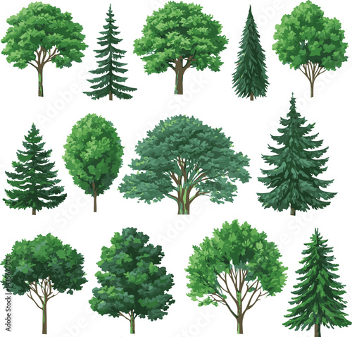 sat of the tree forest victor design with white background.