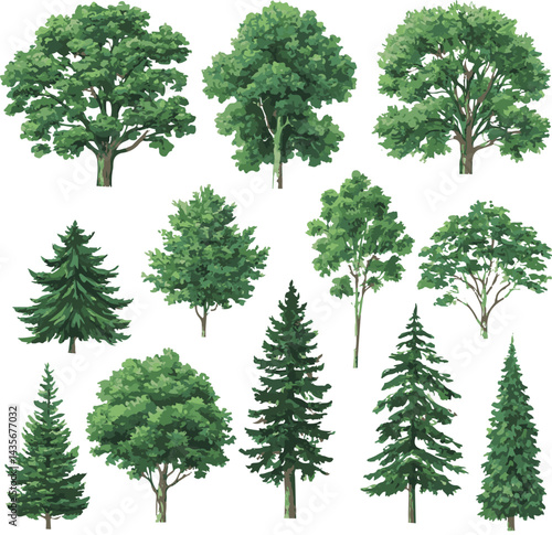 sat of the tree forest victor design with white background.