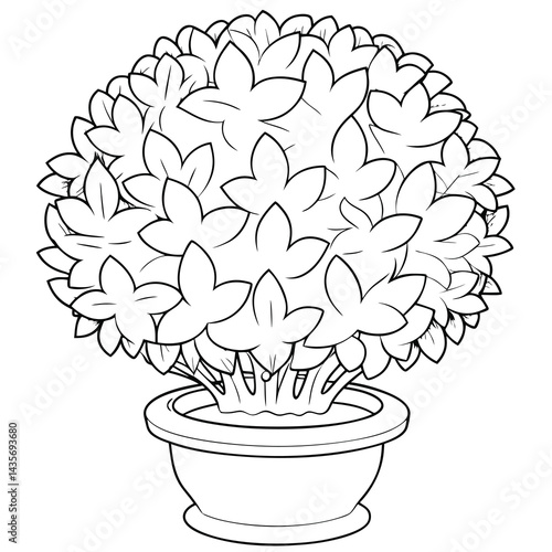  Topiary Pot Plant Drawing Outline