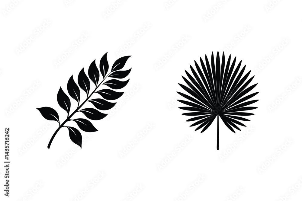 Black Silhouette Tropical Leaves Isolated On White Background Graphic Design Elements Black Silhouette Tropical Leaves Isolated On White Background Graphic Design Elements