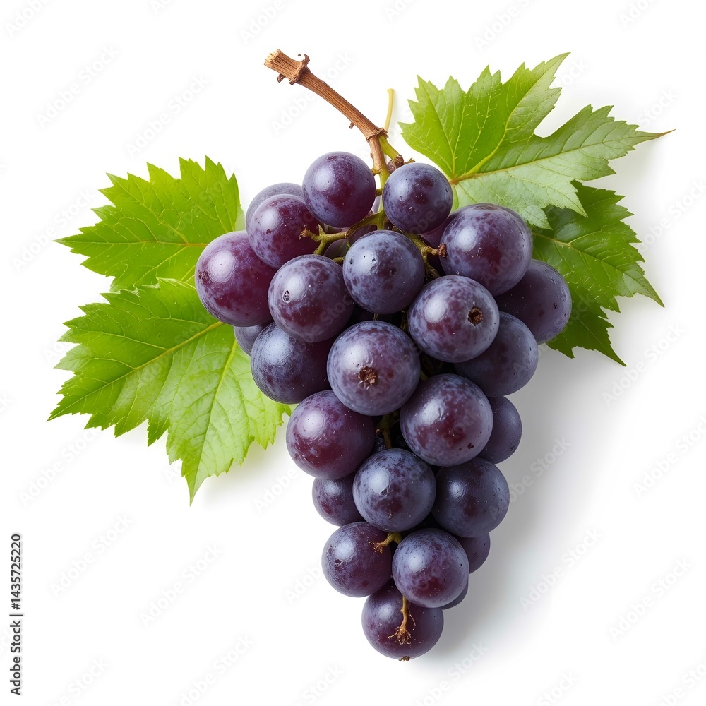 Fototapeta premium bunch of grapes