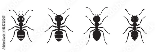 Set of ant vector icon. Ant icon. Ant collection symbol set. Vector illustration eps 10