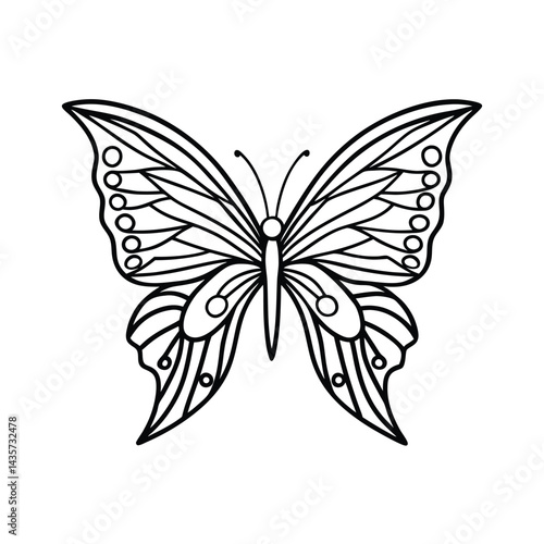 Elegant butterfly outline design vector illustration detailed black and white winged insect graphic isolated