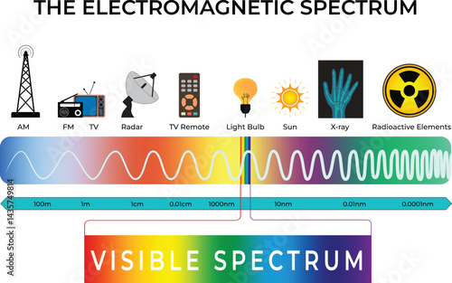 Electromagnetic Spectrum Overview Design Vector Illustration