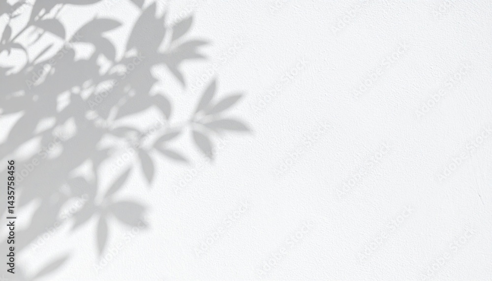 Shadow play of leaves indoor setting artistic photography minimalist environment close-up view nature concept Shadow play of leaves indoor setting artistic photography minimalist environment close-up view nature concept