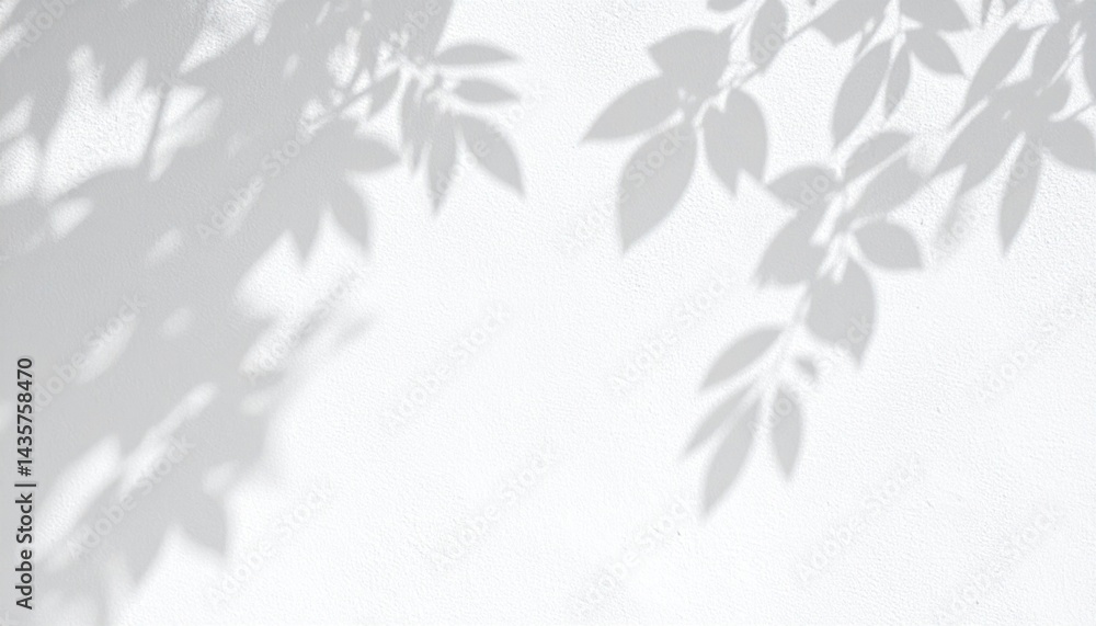 Nature's tranquil shadows outdoor setting artistic photography calm environment serene viewpoint light and shadow play Nature's tranquil shadows outdoor setting artistic photography calm environment serene viewpoint light and shadow play