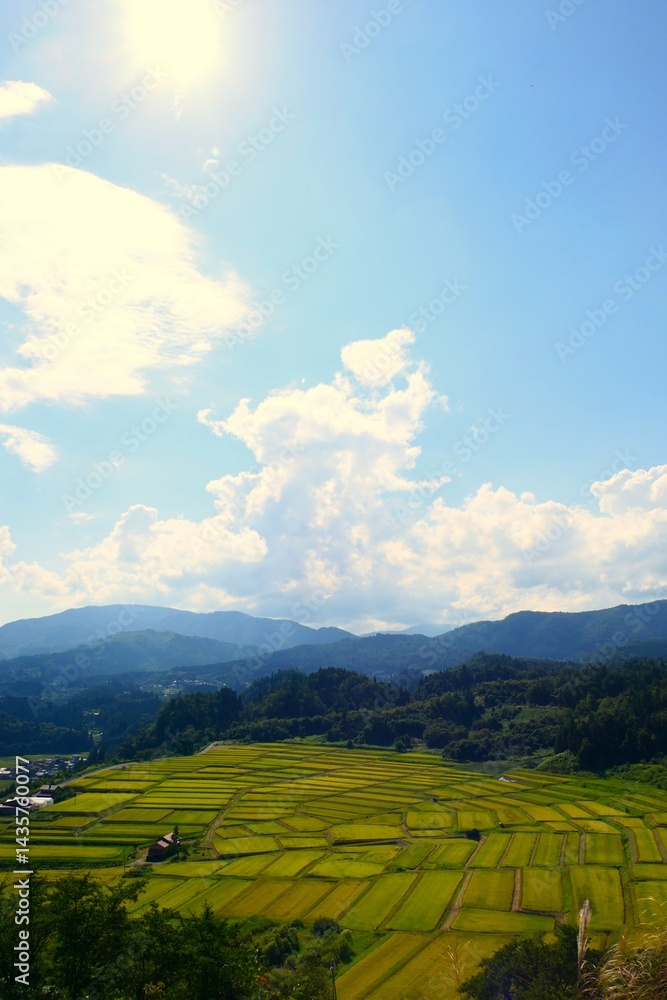 くぬぎ平の棚田。朝日、山形、日本。9月中旬。