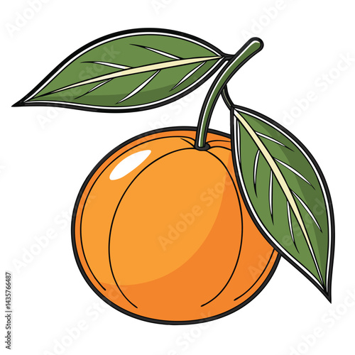 Fresh, Vibrant Orange Fruit with Leaves