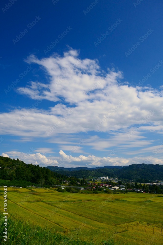 くぬぎ平の棚田。朝日、山形、日本。9月中旬。