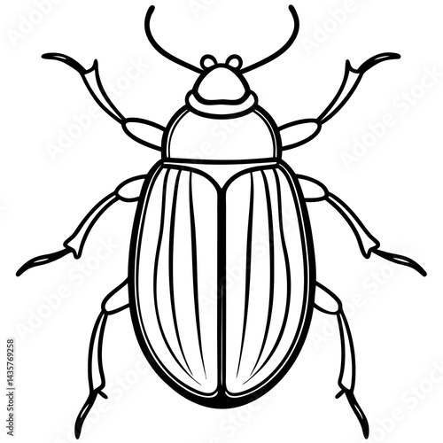 Beetle Sketch Vector