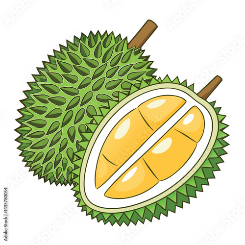 Tropical fruit, a whole and sliced durian
