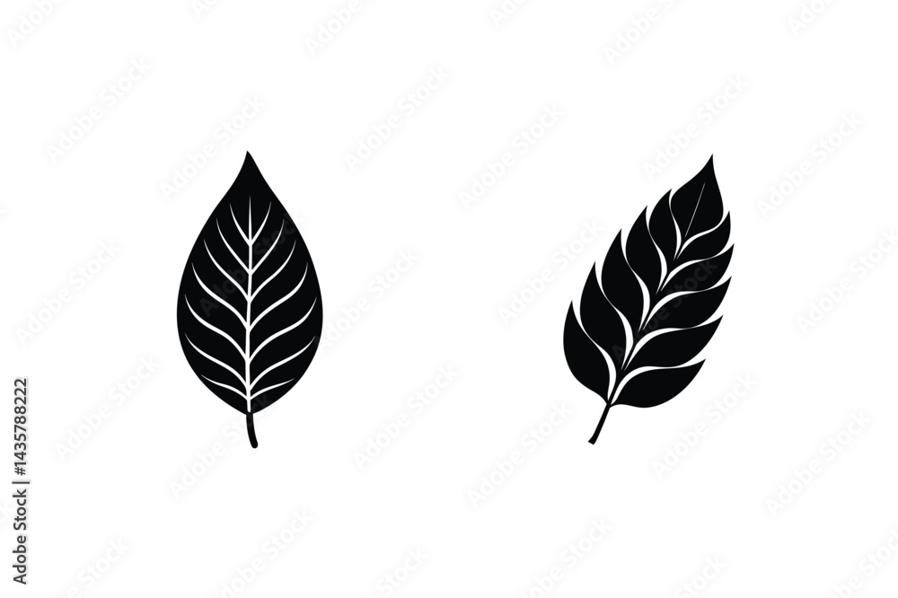 Obraz premium Black And White Leaf Vector Art Illustration For Nature Design Elements