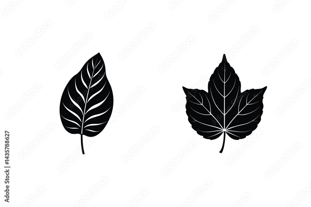 Two Different Leaf Silhouettes On A White Background Botanical Vector Elements Two Different Leaf Silhouettes On A White Background Botanical Vector Elements