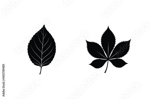 Black And White Vector Illustration Of Two Different Leaf Silhouettes Isolated