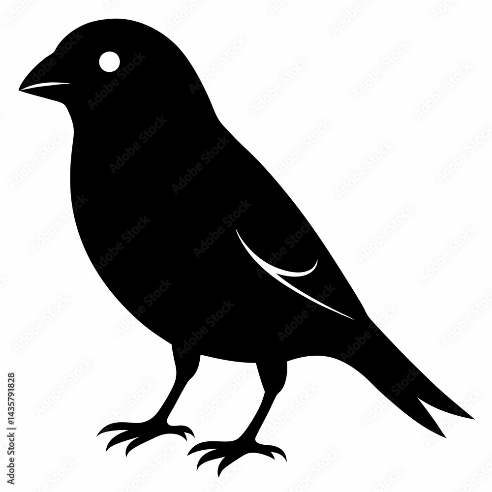 Fototapeta premium Graceful Canary Silhouette in Vector