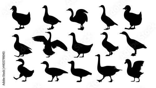 set of duck silhouette vector on tranparent background