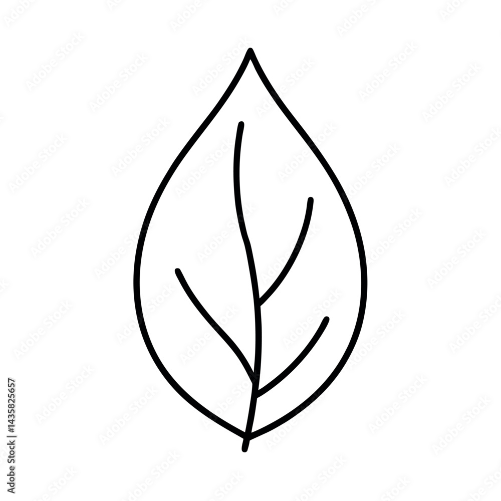 Leaf Outline Icon Vector Illustration Fresh and Delicate Leaf Outline Icon Vector Illustration Fresh and Delicate