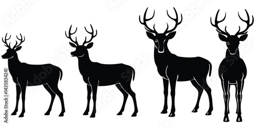 Vector silhouette of majestic deer with large antlers in various standing poses, wildlife forest animals illustration