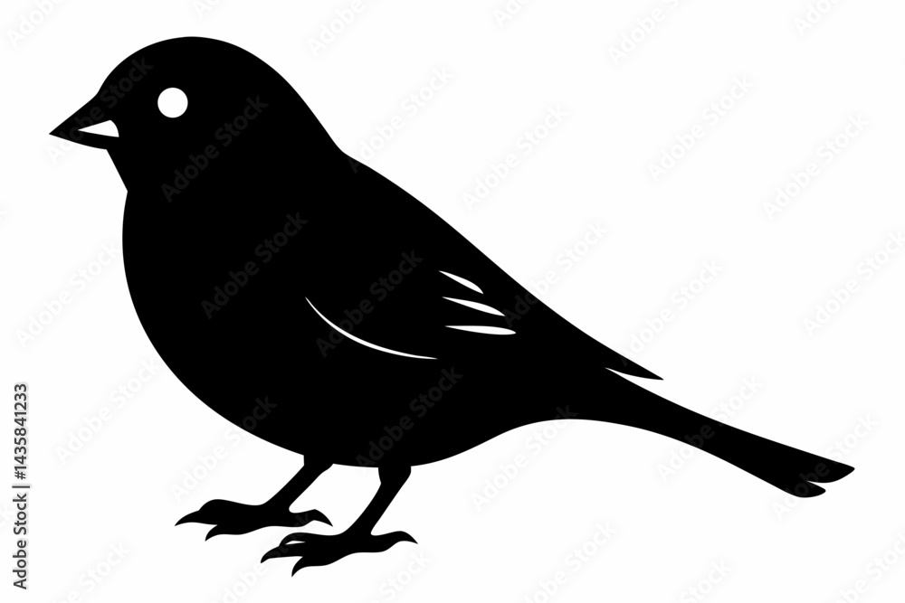 Obraz premium canary sihouette black vector