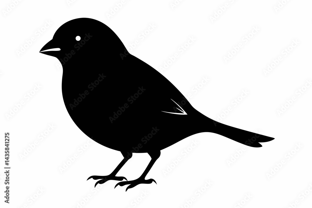 Obraz premium canary sihouette black vector