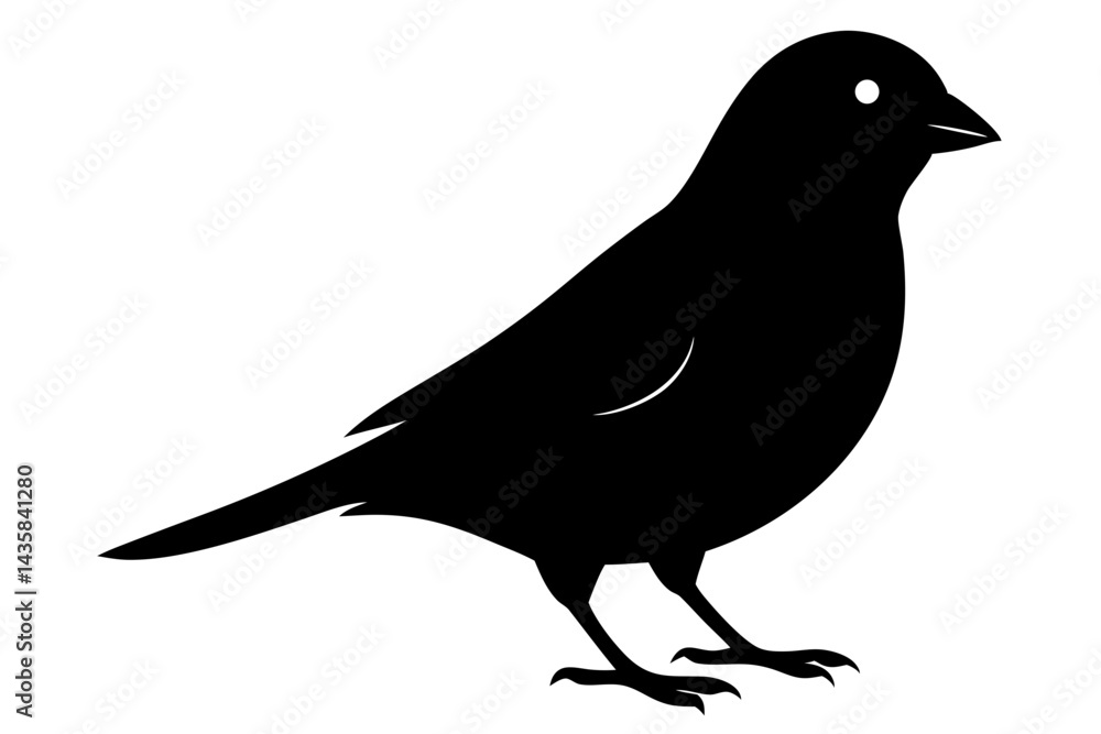 Fototapeta premium canary sihouette black vector