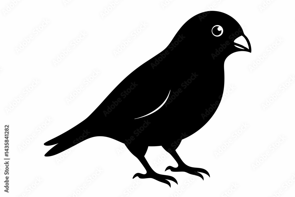 Obraz premium canary sihouette black vector