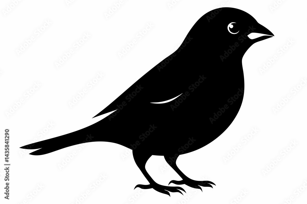 Obraz premium canary sihouette black vector