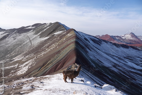 Bild auf Leinwand Llama Posing in Front of Rainbow Mountain, Peru