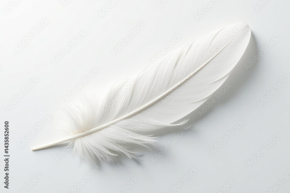 Obraz premium Elegant white feather against pure white backdrop, nature, wildlife
