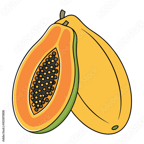 Papaya fruit illustration