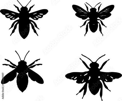 Bees in Flight: Nature’s Tiny Workers