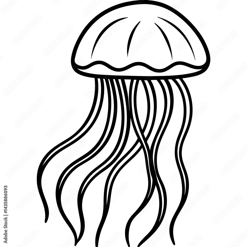 Elegant Jellyfish Lines Elegant Jellyfish Lines